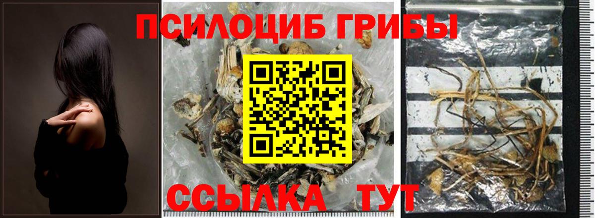Псилоцибиновые грибы прущие грибы  Вход с VPN  Малгобек 